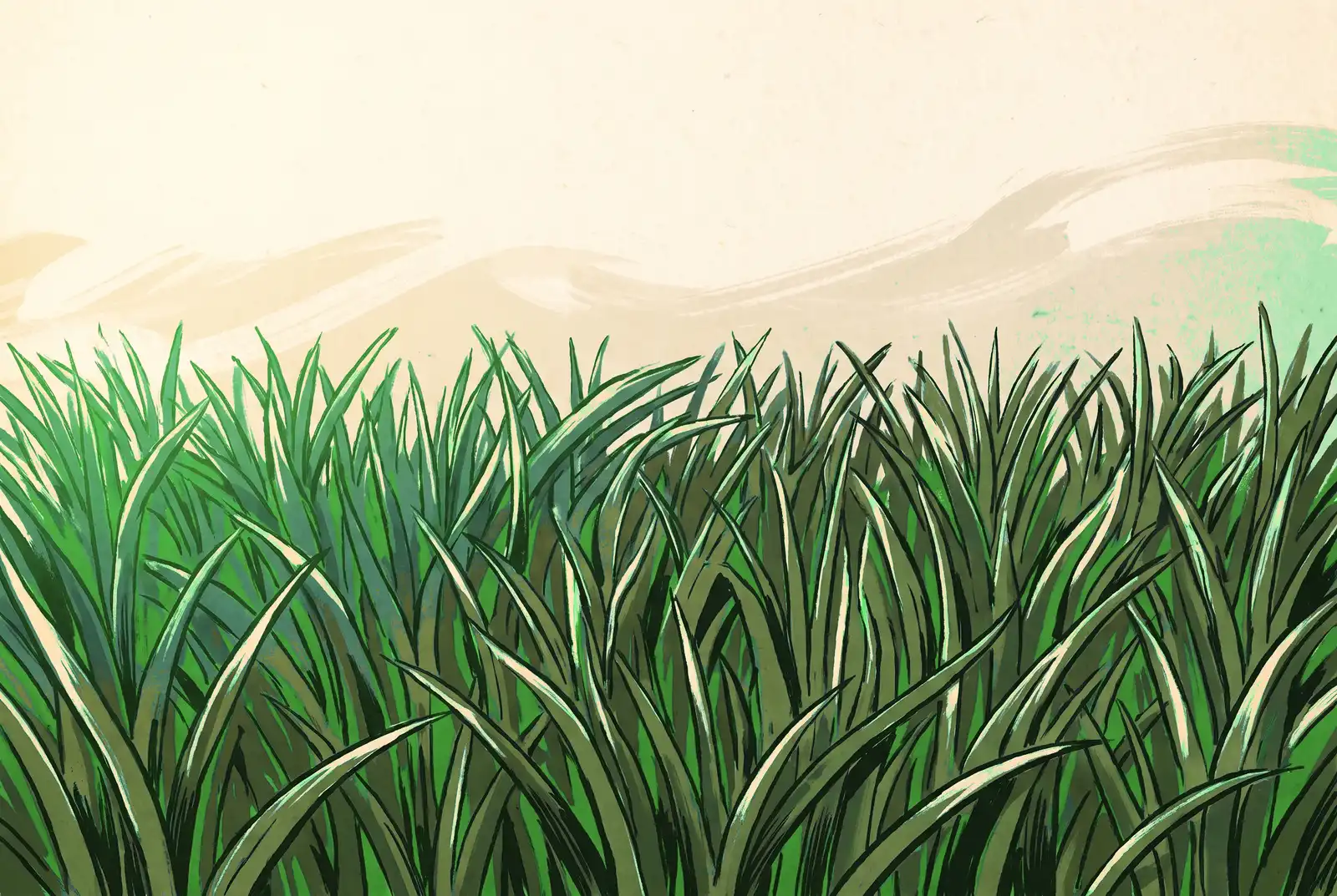 An illustration of dense lawn grass seen close and low, in warm late-afternoon light, with open space above for a hand-drawn job ticket scene to rest on.
